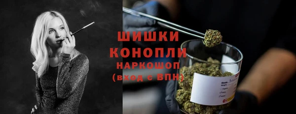 гашик Аркадак