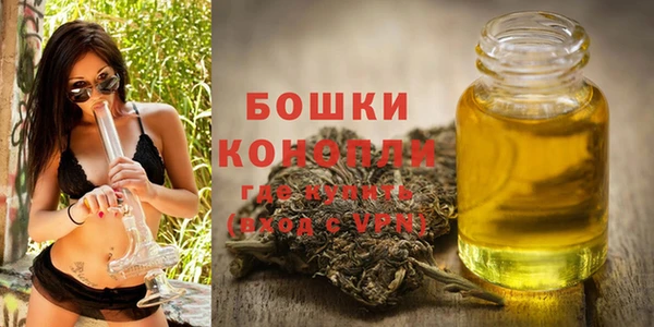 гидра Сосновый Бор