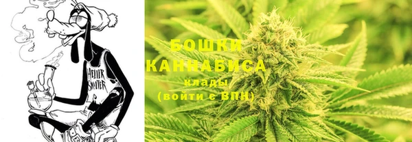 гашик Аркадак