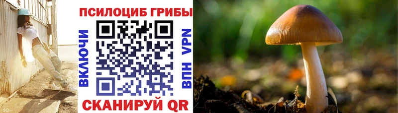 Псилоцибиновые грибы Psilocybine cubensis  Боготол 
